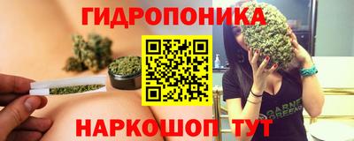 прущие крисы Северобайкальск
