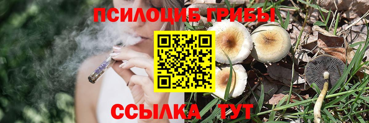 Галлюциногенные грибы GOLDEN TEACHER Ликино-Дулёво
