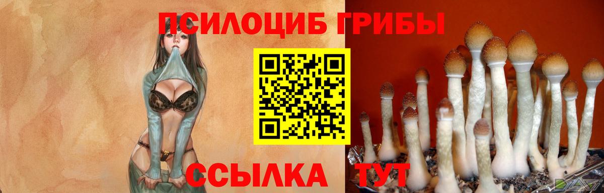 Галлюциногенные грибы мицелий  Вход с VPN  купить закладку  Ликино-Дулёво 